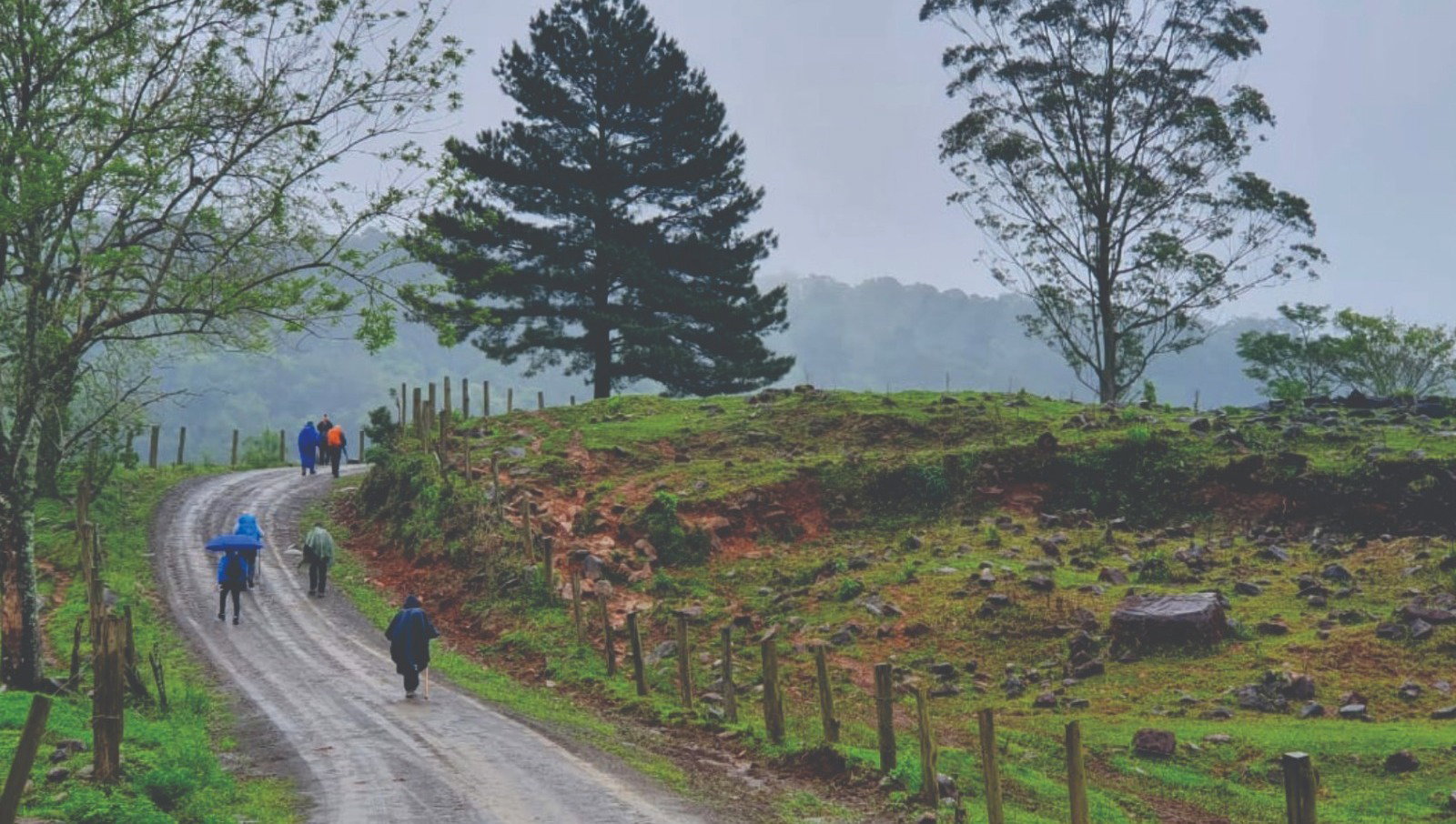 Peregrinos percorrendo o Caminho Sagrado