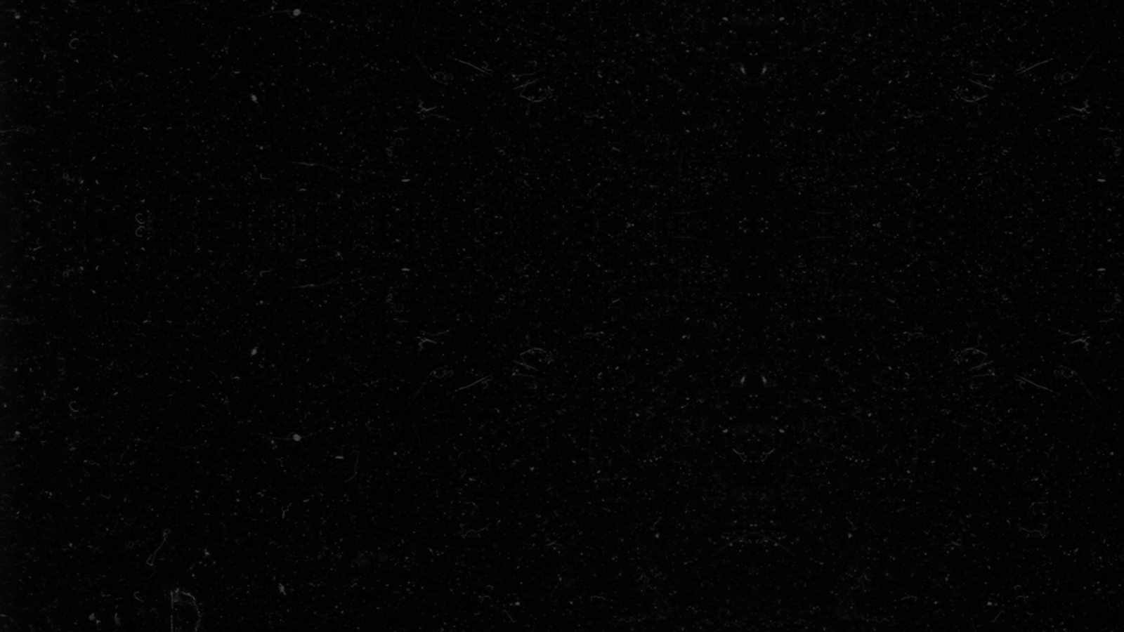 Foto do prefeito(a) de Treviso